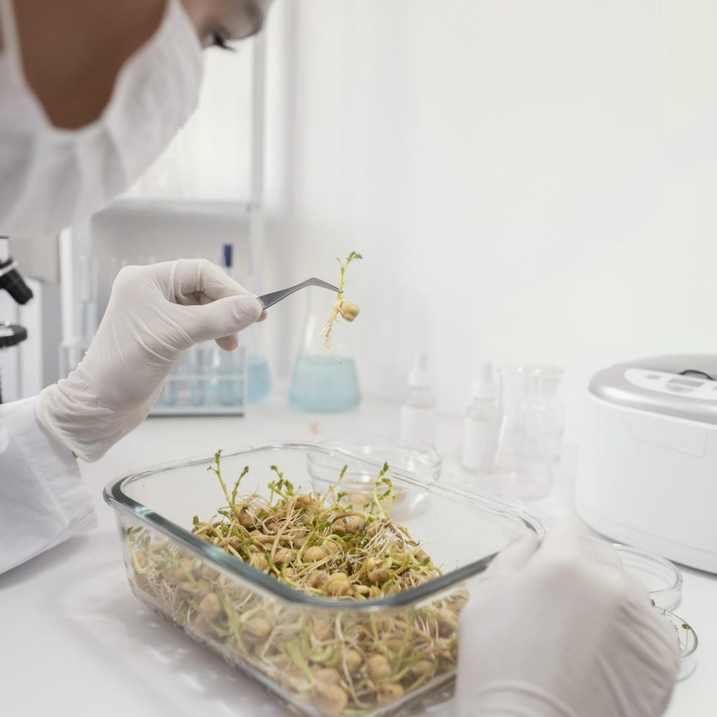 Desenvolvimento de novos ingredientes e processos para elaboração de alimentos