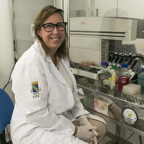 Biossimilar Pembrolizumabe e novo protótipo fármaco nanoencapsulado na terapia anticâncer validados na plataforma de biomodelos - NPDM