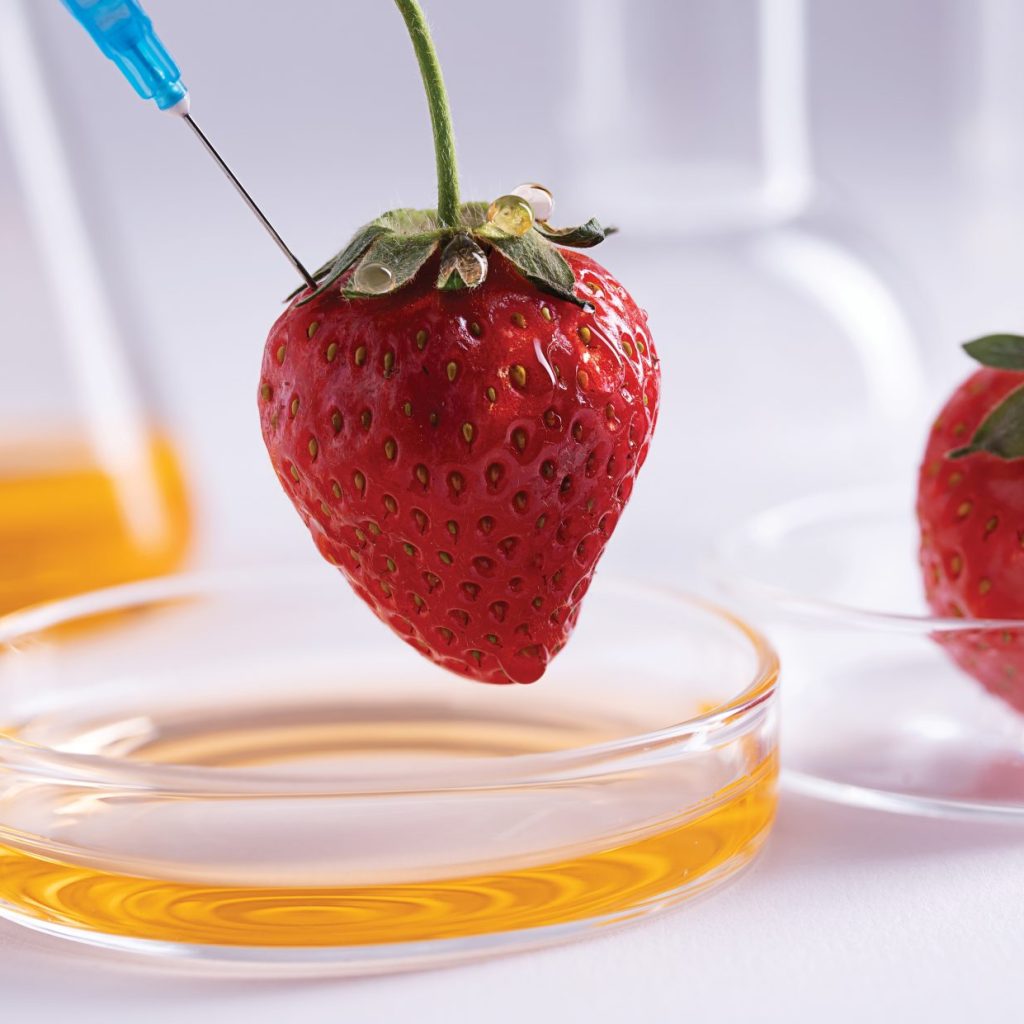 Digestão Gastrointestinal in vitro de extratos de frutas e seu efeito na bioacessibilidade de compostos bioativos